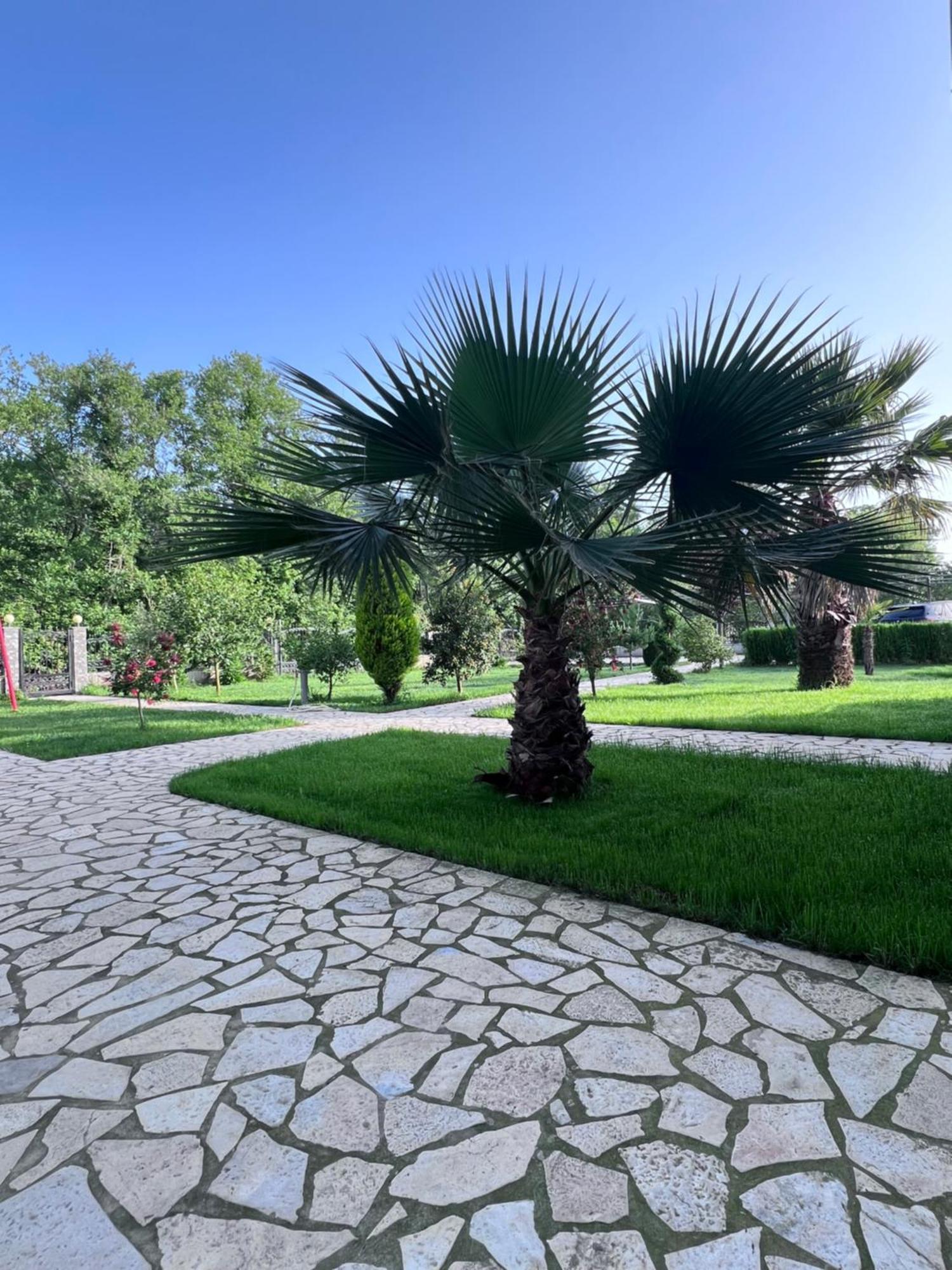 Residence Leora Ülgün Dış mekan fotoğraf